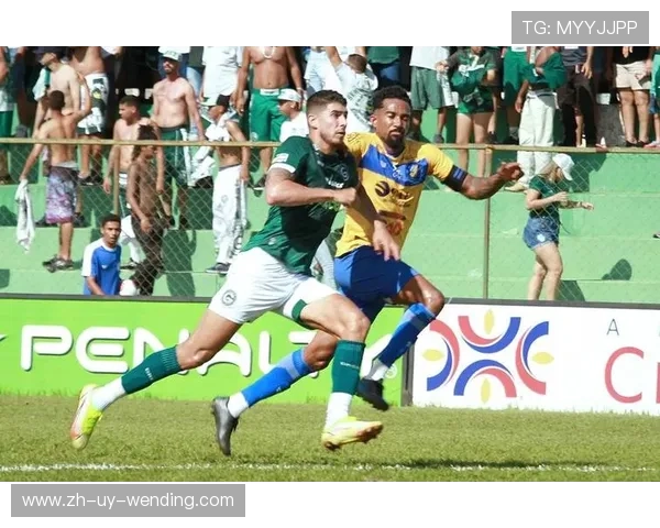 高清直播平台推荐：巴西甲级联赛